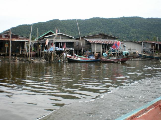SANY7242.jpg